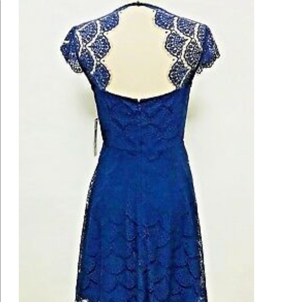 NWT Navy blue lace Eliza J dress